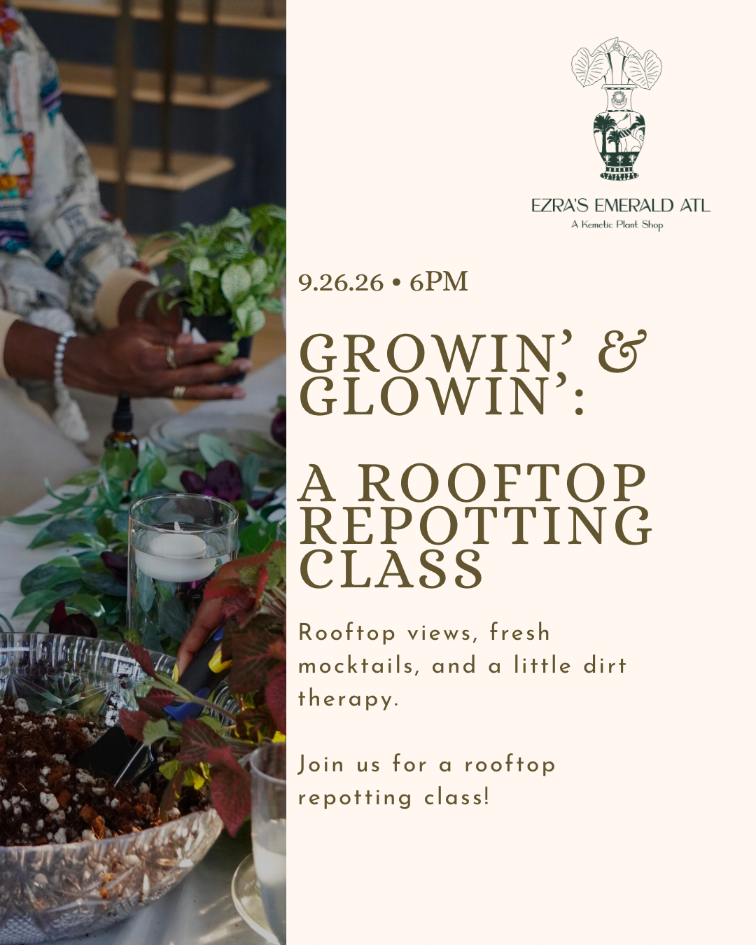 Growin' & Glowin': A Rooftop Repotting Experience