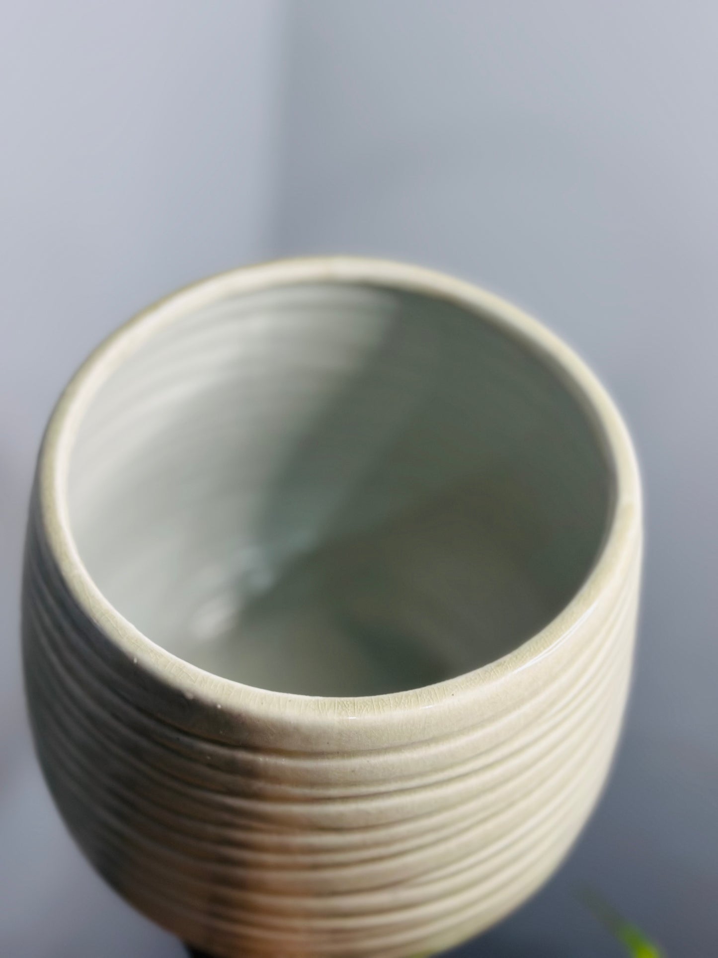 Wavy & Curvy Rotunda Pot