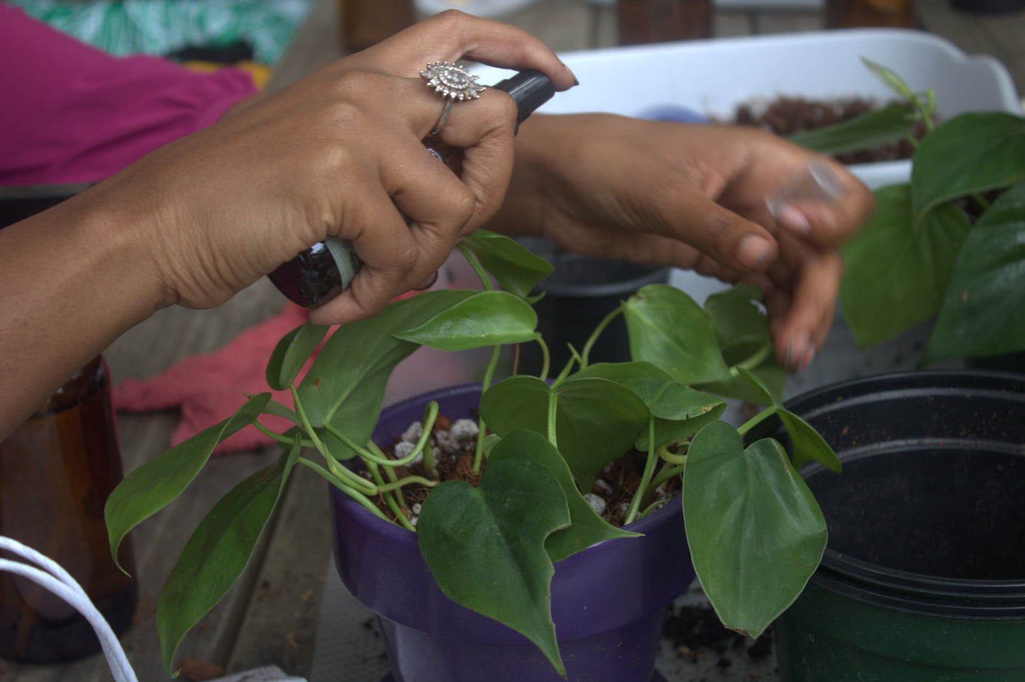 Virtual Plant Consultations