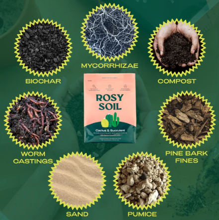 Cactus & Succulent Soil Mix