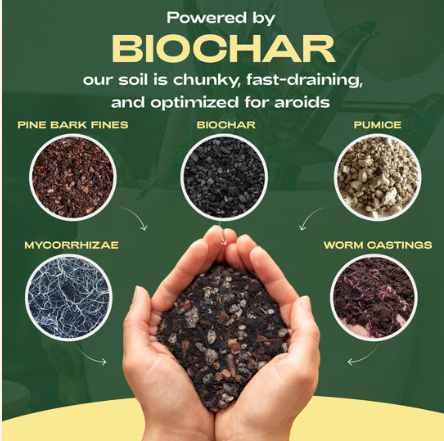 Aroid Soil Mix