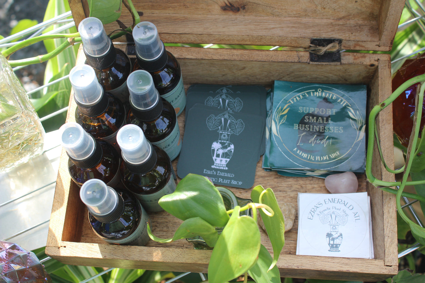 Plant Sauce Spray