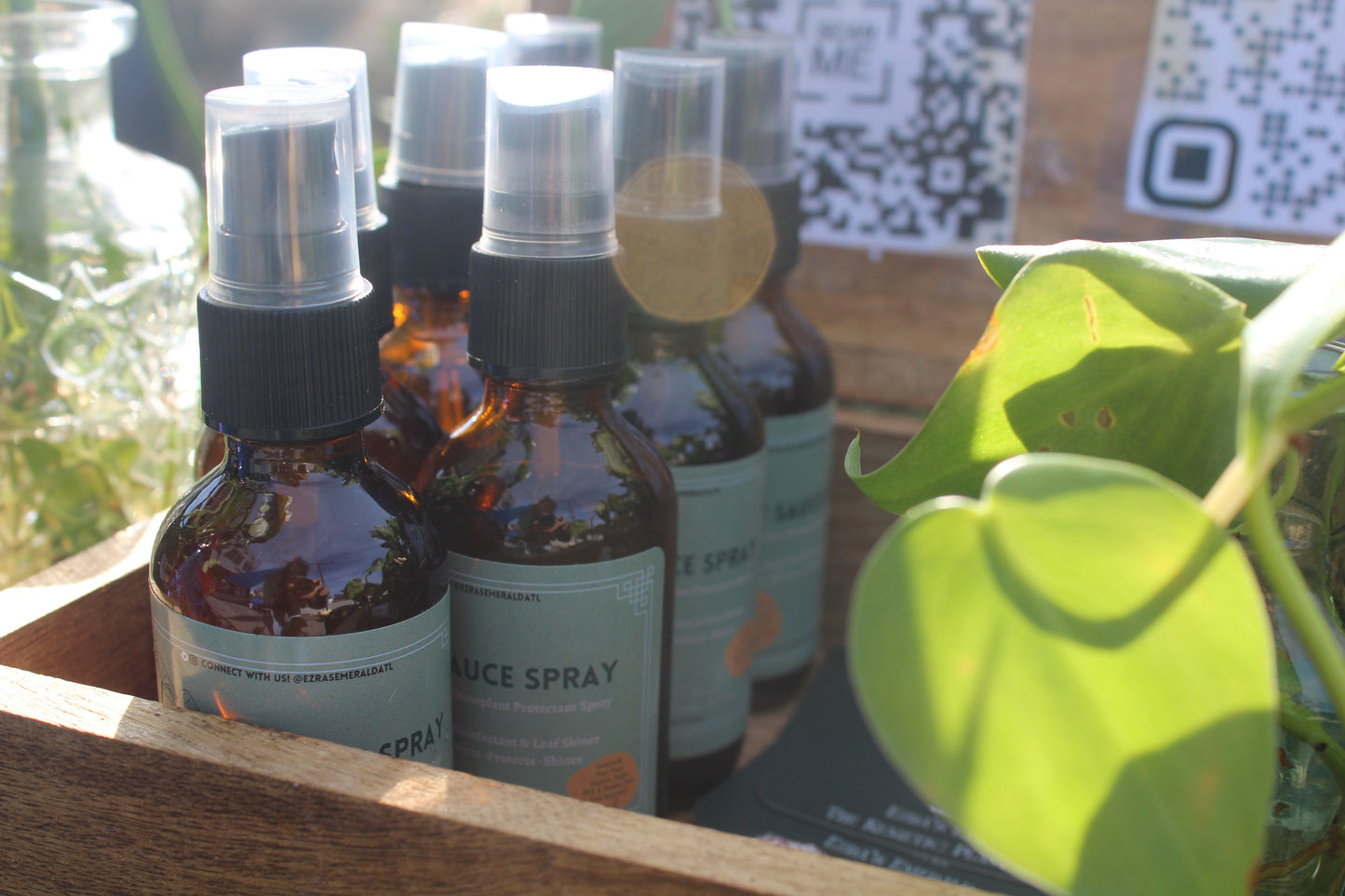 Plant Sauce Spray
