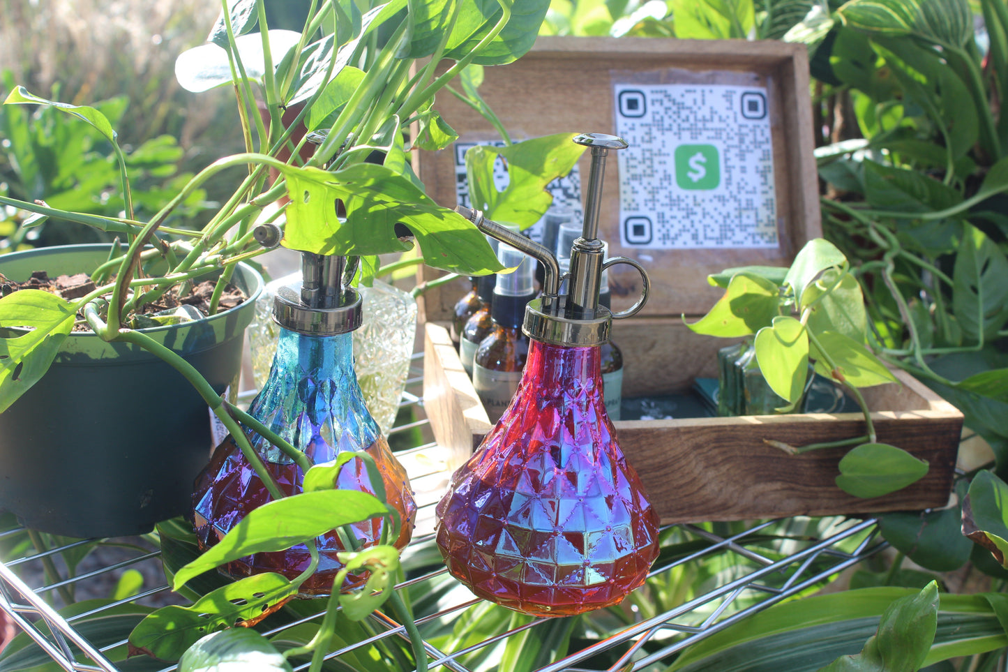 Plant Sauce Spray
