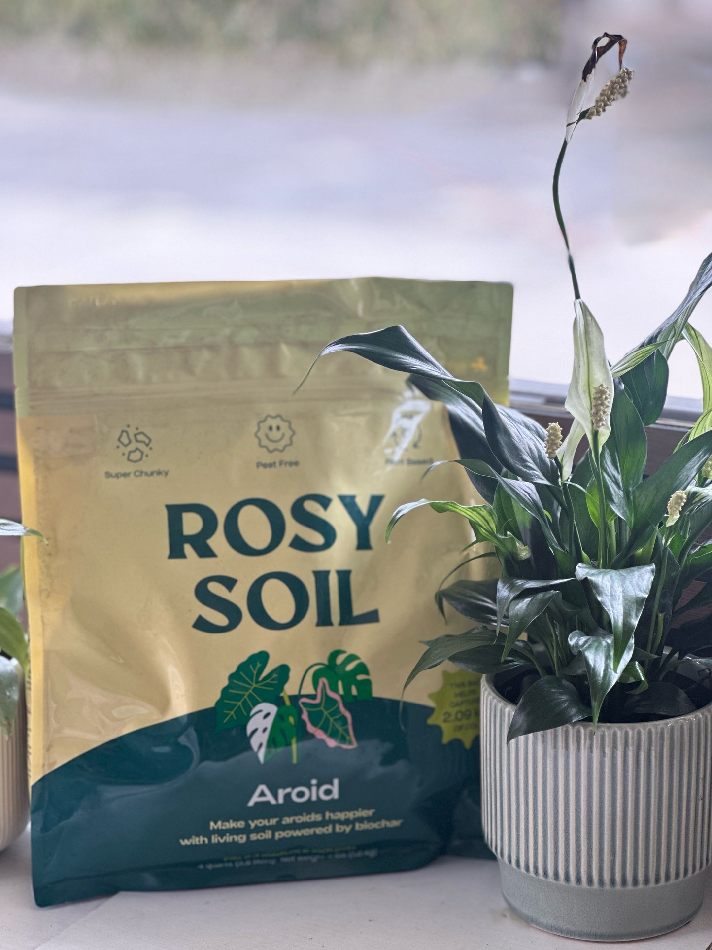 Aroid Soil Mix