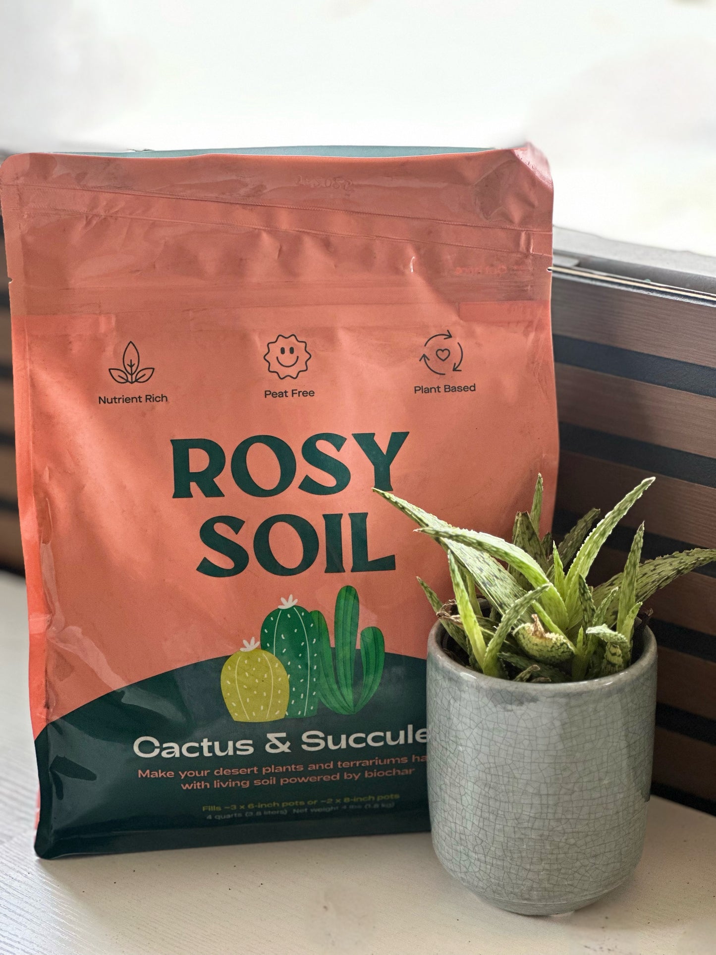 Cactus & Succulent Soil Mix