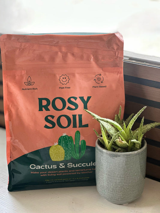 Cactus & Succulent Soil Mix