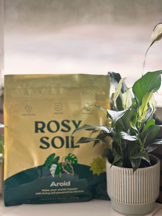 Aroid Soil Mix