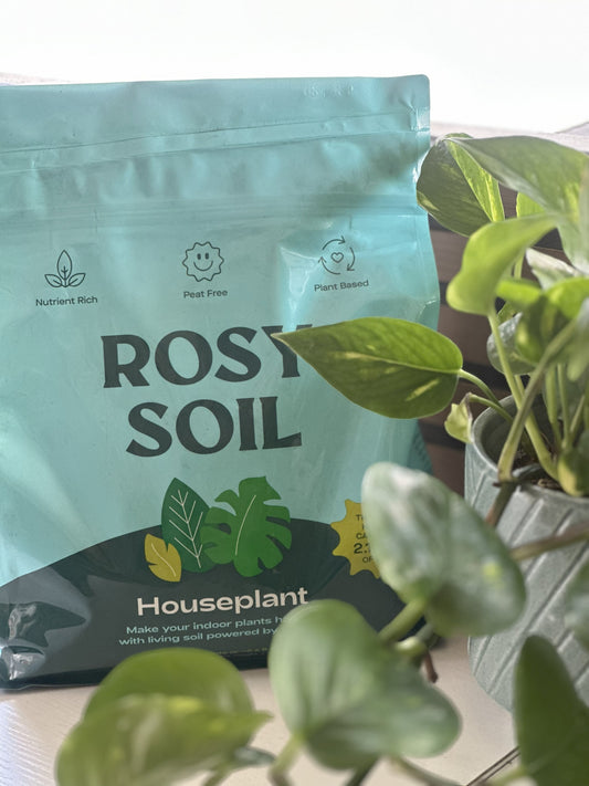 Houseplant Potting Soil Mix