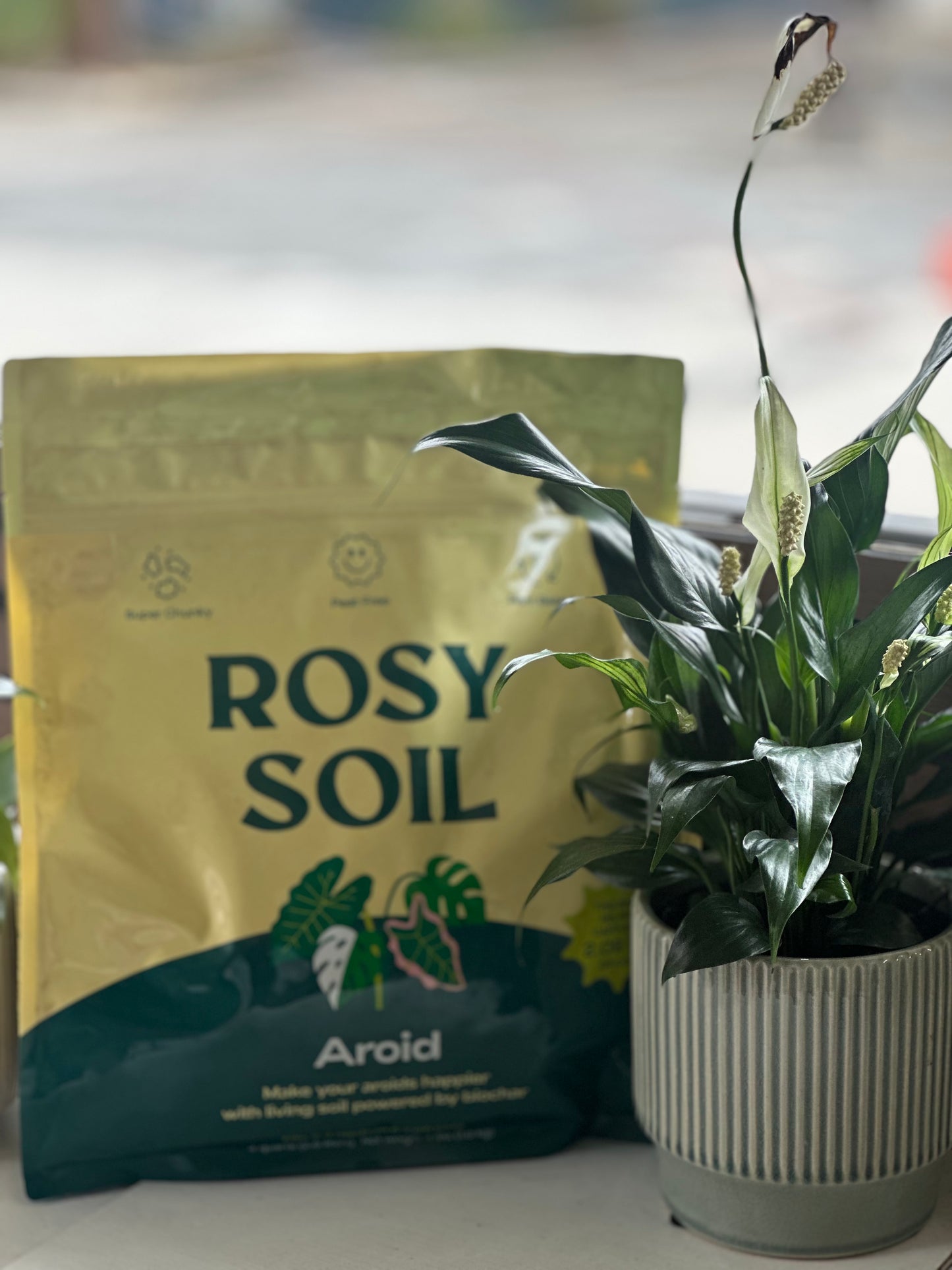 Aroid Soil Mix