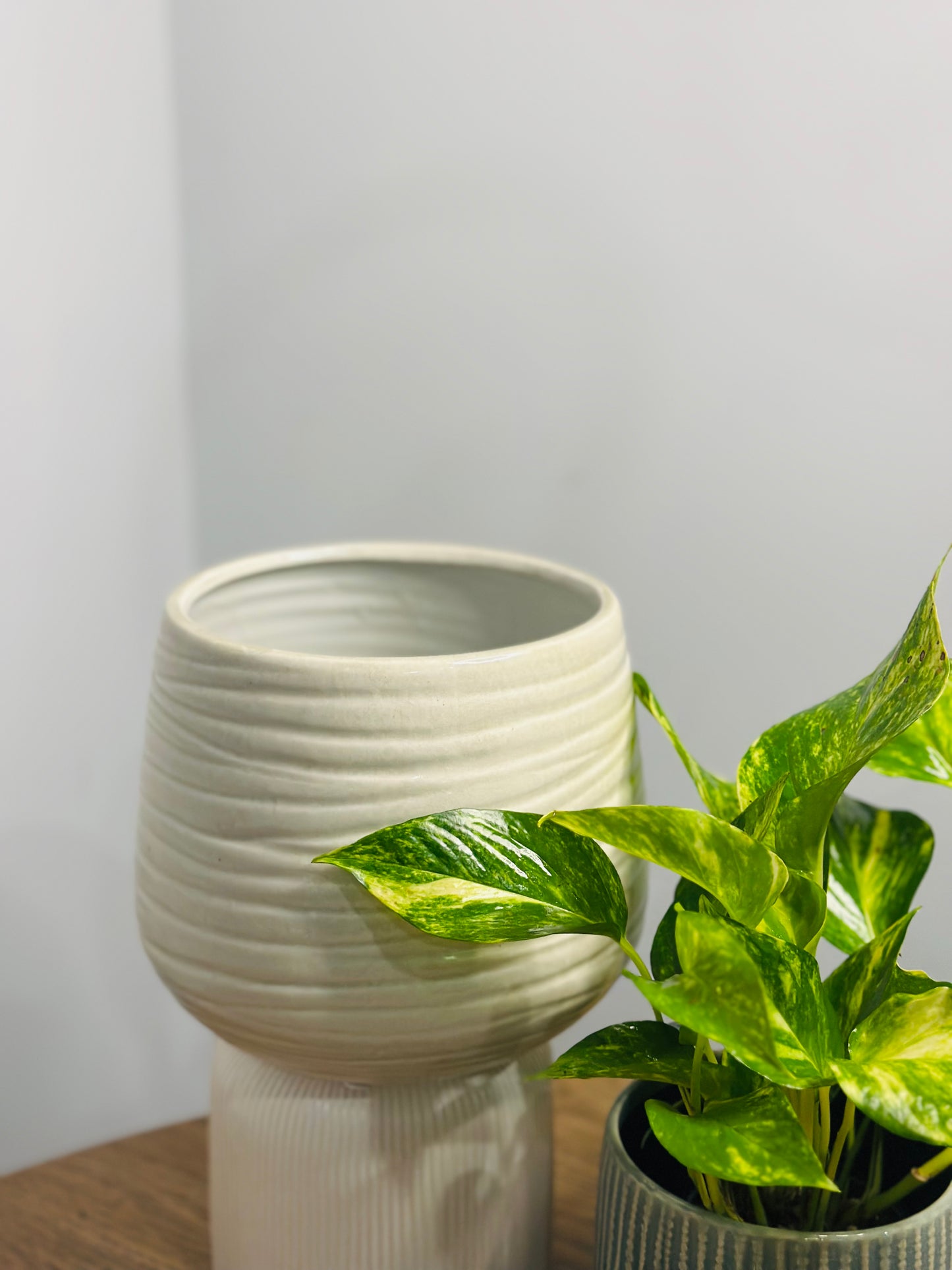 Wavy & Curvy Rotunda Pot
