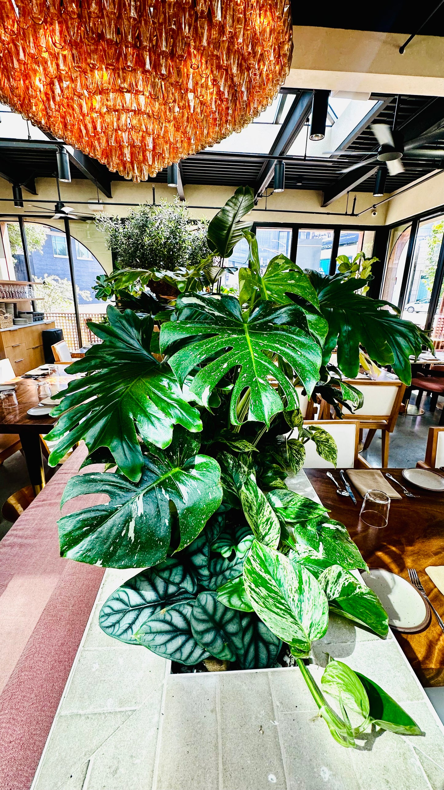 Indoor Event Plant Styling