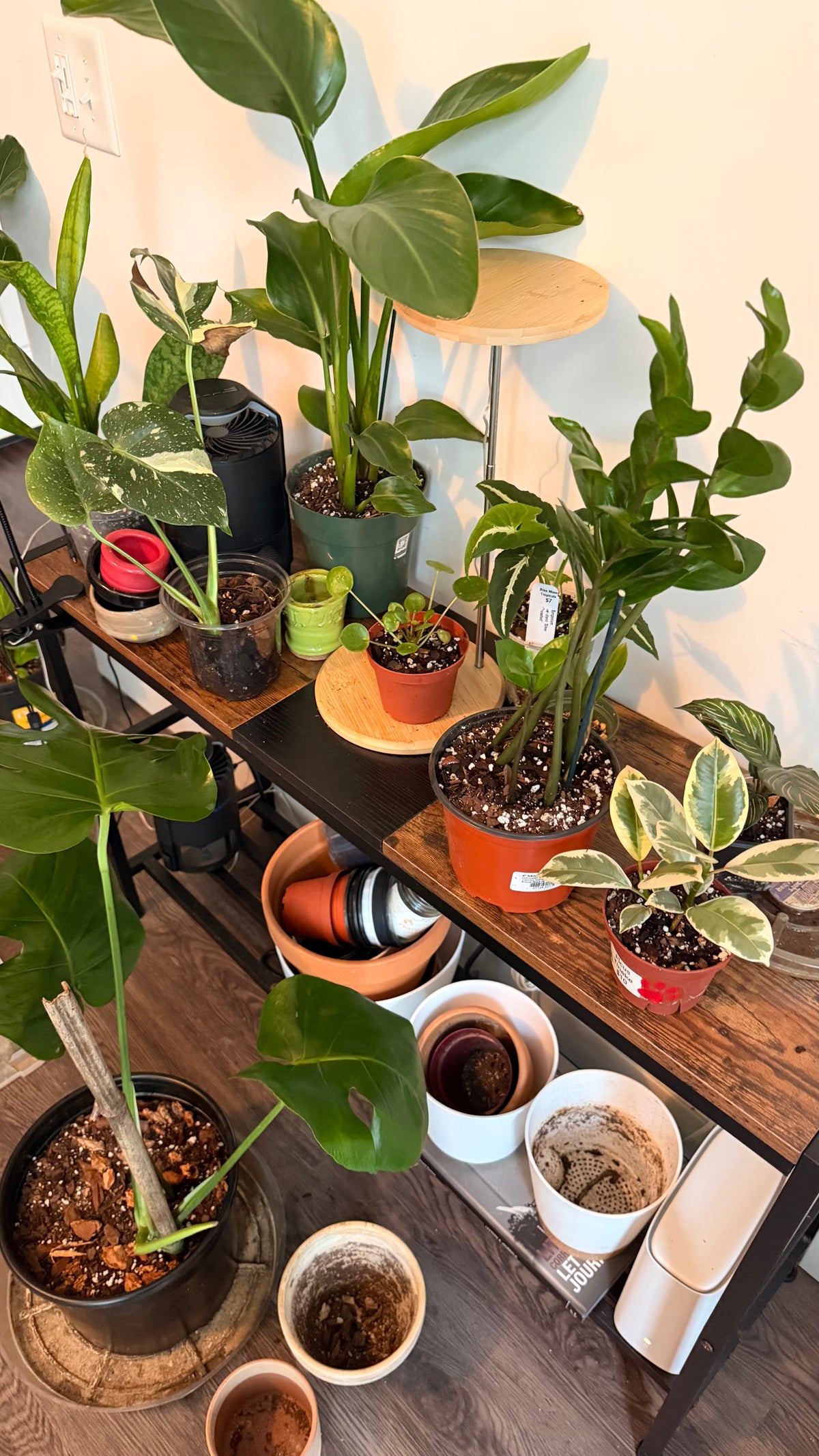 Rooted Care Service