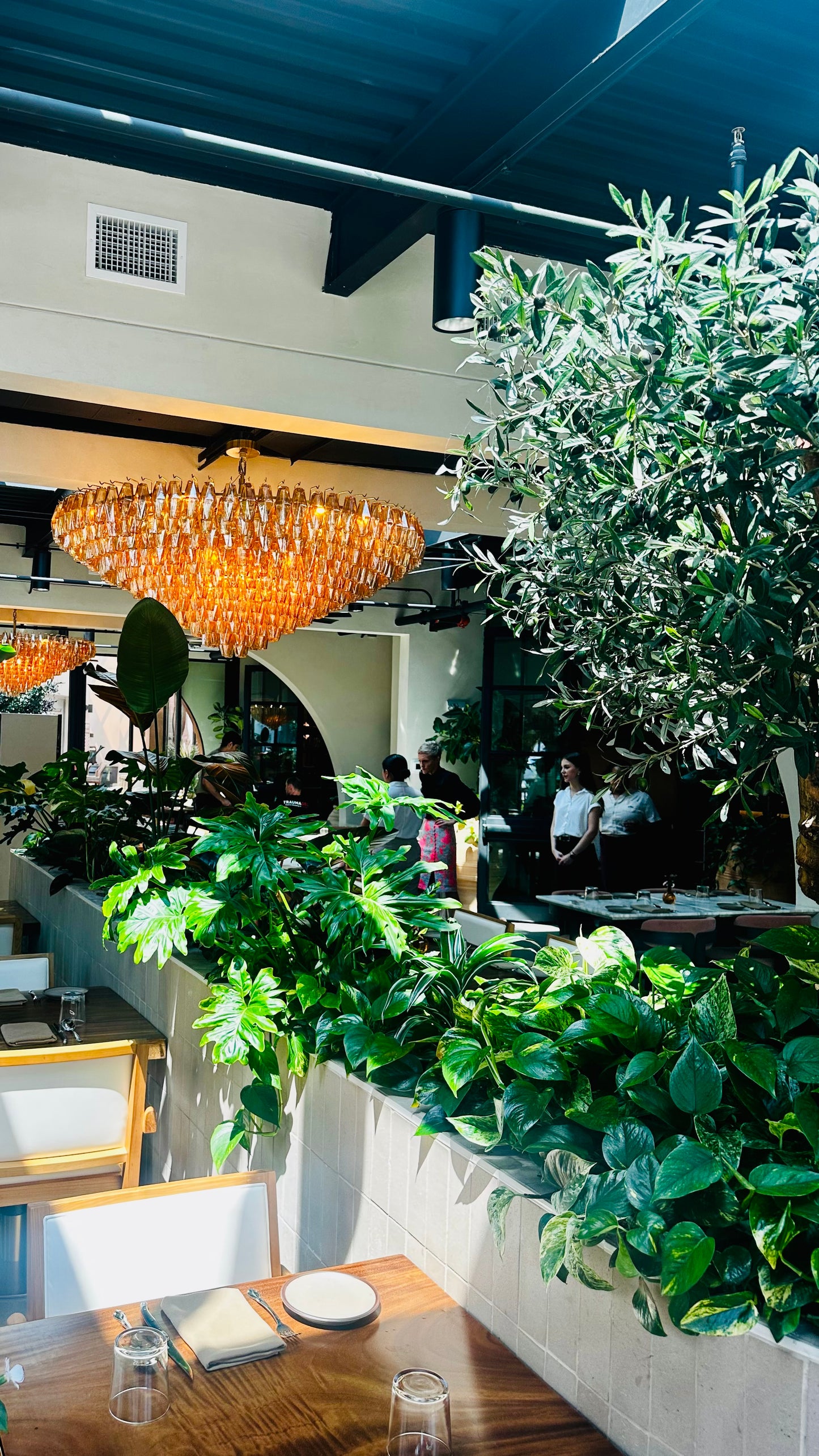 Indoor Event Plant Styling