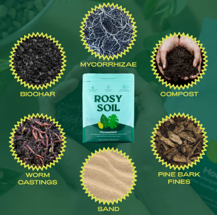 Houseplant Potting Soil Mix